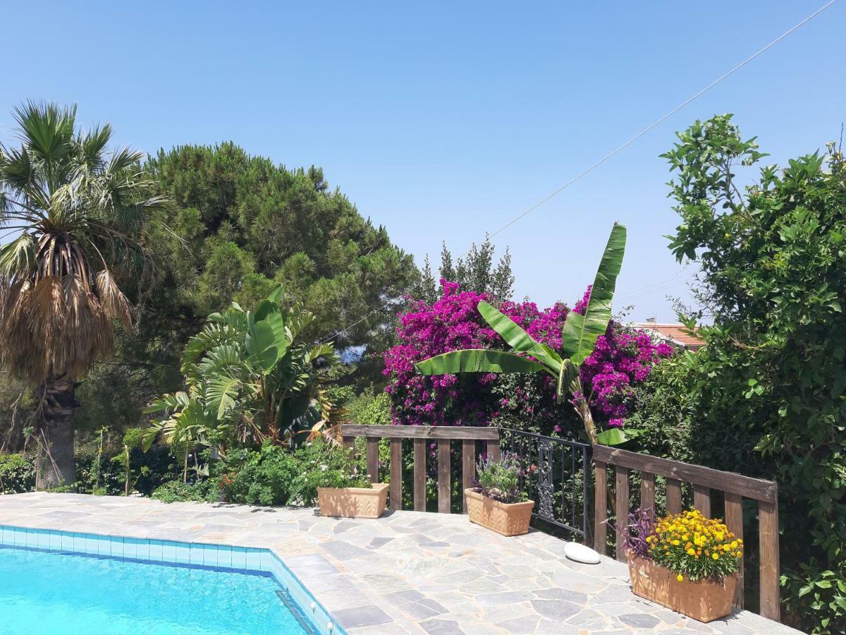 Villa Suites Lagonisi Luxury Екстер'єр фото